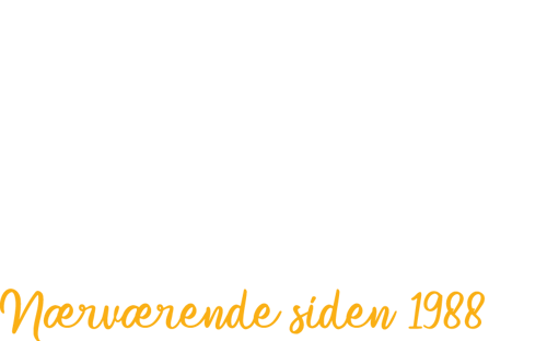 Aarhuscharter Logo B RGB White